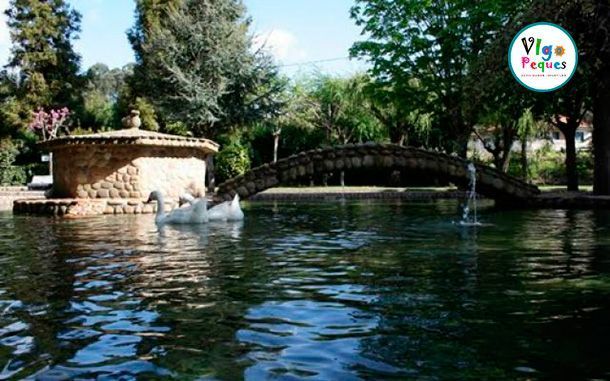 Lago con cisnes en el Parque A Canuda de Salvatierra