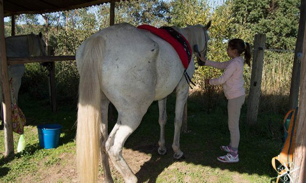 Los niños que susurran a los caballos en Cima de Vila