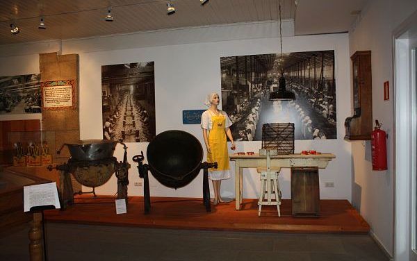 Museo Massó: actividades y paseos en barco para todos los públicos