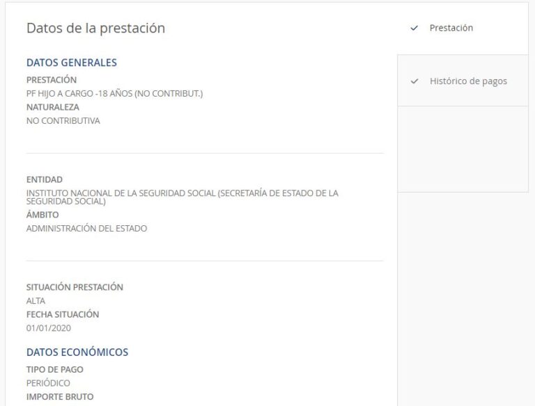 Guía fácil para consultar tus dudas sobre la ayuda por hijo a cargo de ...