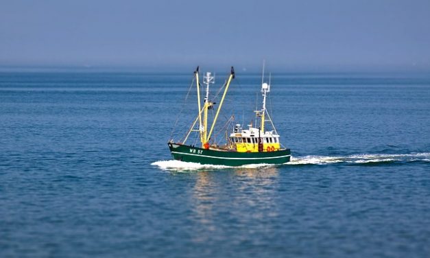 Vigo pesqueiro ofrece visitas y rutas gratuitas por el Vigo SeaFest