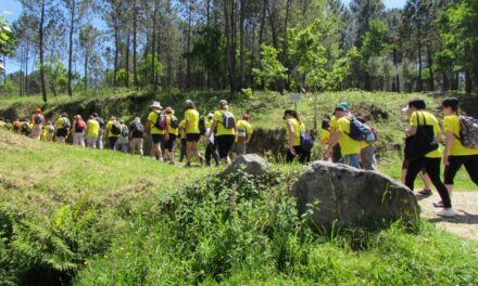 Día de los montes de Vigo con rutas y actividades para todos los públicos