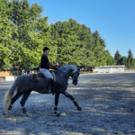 La Feria del Caballo de Ponte de Lima regresa este fin de semana con un completo programa