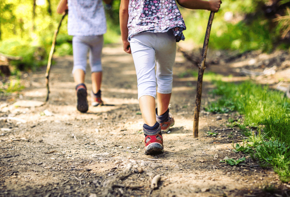 Camiño a camiño regresa con sus rutas de otoño