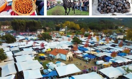 Feria Anual de los Santos de Cerdal, El mercadillo que Une a Galicia y Portugal