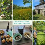 Catas y visitas gratuitas en las rutas das Maceiras en Flor: Plazas limitadas