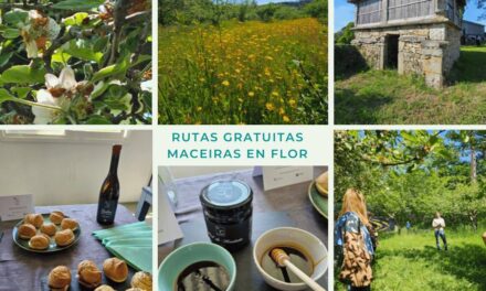 Catas y visitas gratuitas en las rutas das Maceiras en Flor: Plazas limitadas