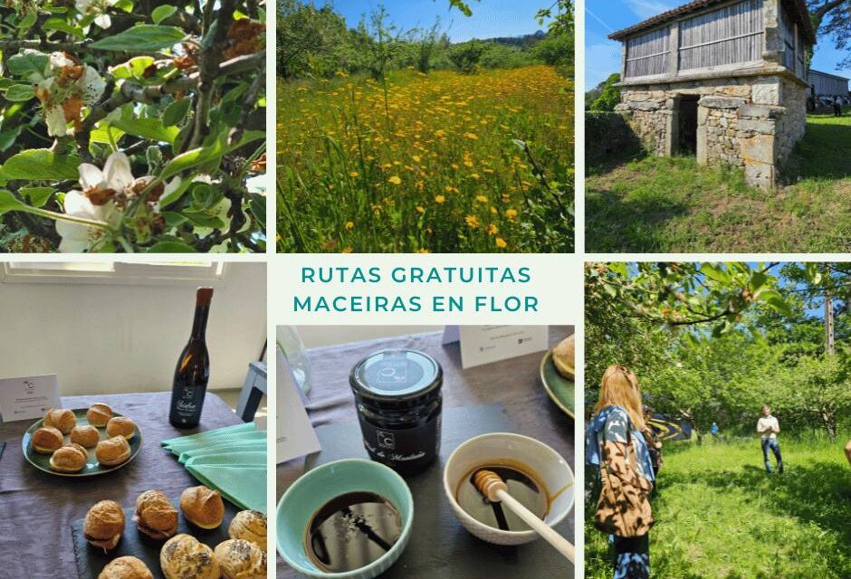 Catas y visitas gratuitas en las rutas das Maceiras en Flor: Plazas limitadas