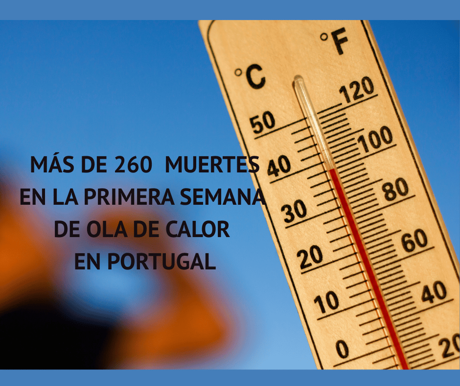 Ola de calor en Portugal: más de 260 muertes en la primera semana ...