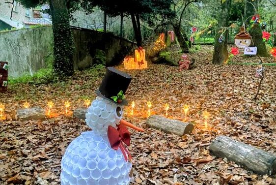 Un Bosque de Navidad en Teis: la bonita iniciativa del CEIP Paraixal y su ANPA