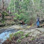 la Ruta de las Fervenzas de Pereiro en Poio: cascadas, molinos y naturaleza