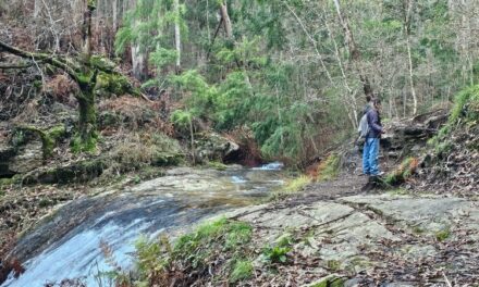 la Ruta de las Fervenzas de Pereiro en Poio: cascadas, molinos y naturaleza