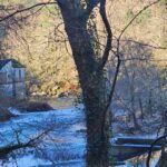 Senda fluvial del río Lérez en Pontevedra: una ruta fácil y perfecta para ir con niños