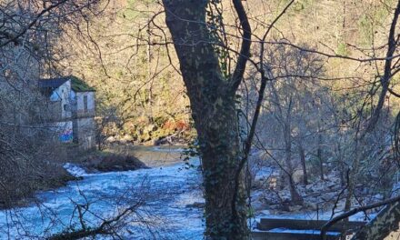 Senda fluvial del río Lérez en Pontevedra: una ruta fácil y perfecta para ir con niños