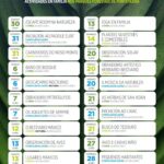 El plan familiar del verano en Pontevedra está en el monte (y es gratis)
