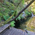 Fervenzas de Parafita e Raxoi: cómo llegar, qué ver y por qué merece la pena visitar esta ruta