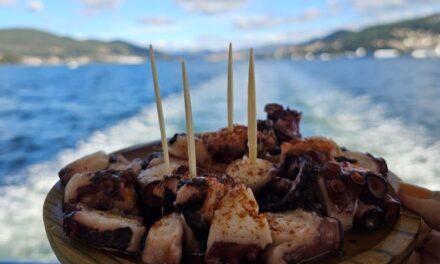 Paseo en barco en Vigo con degustación de pulpo: precio, recorrido y experiencia