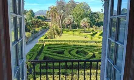 Paseo guiado por Castrelos: secretos del parque para niños en Vigo