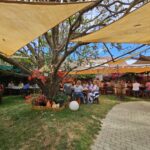 A Casa Pequena, la tapería rústica que conquista por su cocina y su ambiente