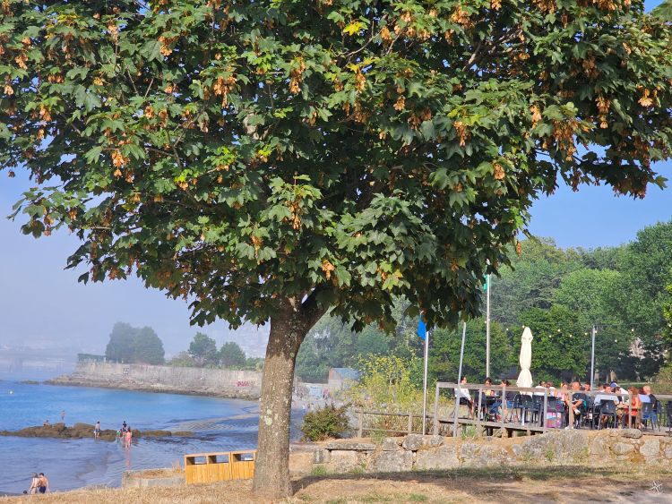 Vigo suspende los conciertos en los chiringuitos de playa
