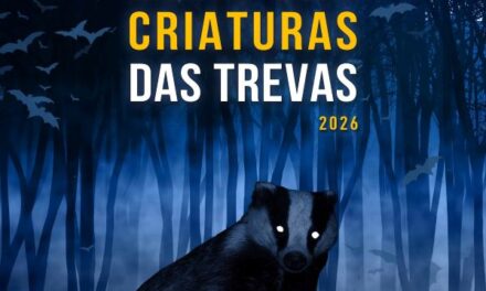 Halloween en el Mosteiro de Sanfins: una ruta nocturna para descubrir las criaturas de la oscuridad