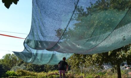 Pé Descalço EcoParque, un parque en Portugal para jugar descalzos y disfrutar de la naturaleza con niños