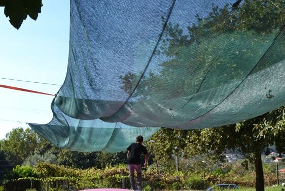 Pé Descalço EcoParque, un parque en Portugal para jugar descalzos y disfrutar de la naturaleza con niños