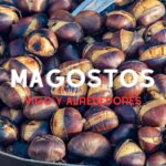 Agenda de magostos en Vigo y alrededores este fin de semana