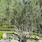 Termas de Prexigueiro: un circuito termal de inspiración japonesa en plena naturaleza